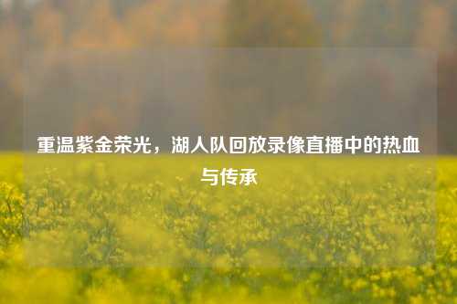 重温紫金荣光,湖人队回放录像直播中的热血与传承