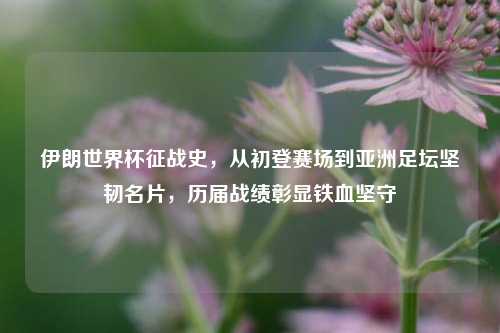 伊朗世界杯征战史，从初登赛场到亚洲足坛坚韧名片，历届战绩彰显铁血坚守