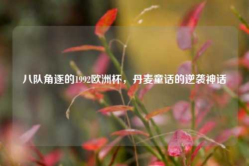 八队角逐的1992欧洲杯，丹麦童话的逆袭神话