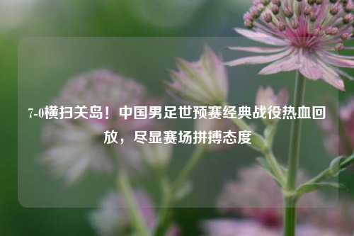7-0横扫关岛！中国男足世预赛经典战役热血回放，尽显赛场拼搏态度