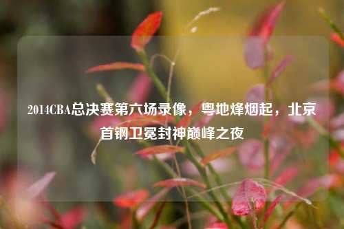 2014CBA总决赛第六场录像,粤地烽烟起,北京首钢卫冕封神巅峰之夜