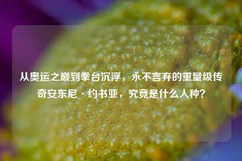 从奥运之巅到拳台沉浮,永不言弃的重量级传奇安东尼·约书亚,究竟是什么人种?