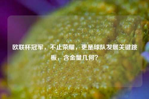 欧联杯冠军,不止荣耀,更是球队发展关键跳板,含金量几何?