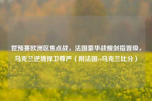 世预赛欧洲区焦点战,法国豪华战舰剑指晋级,乌克兰逆境捍卫尊严(附法国vs乌克兰比分)
