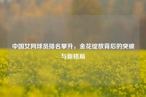 中国女网球员排名攀升,金花绽放背后的突破与新格局