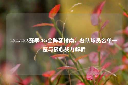 2024-2025赛季CBA全阵容指南,各队球员名单一览与核心战力解析