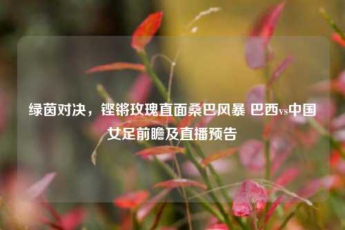 绿茵对决，铿锵玫瑰直面桑巴风暴 巴西vs中国女足前瞻及直播预告
