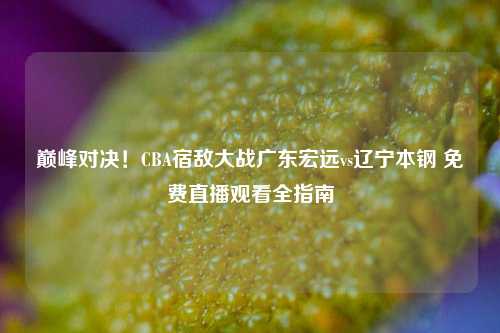 巅峰对决!CBA宿敌大战广东宏远vs辽宁本钢 免费直播观看全指南
