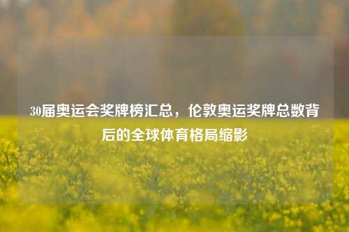 30届奥运会奖牌榜汇总,伦敦奥运奖牌总数背后的全球体育格局缩影
