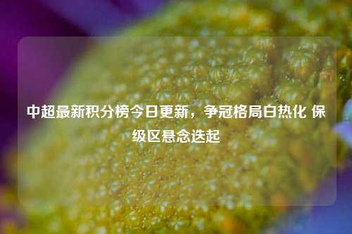 中超最新积分榜今日更新,争冠格局白热化 保级区悬念迭起