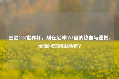 重温2006世界杯,刻在足球DNA里的热血与遗憾,录像回放哪里能看?