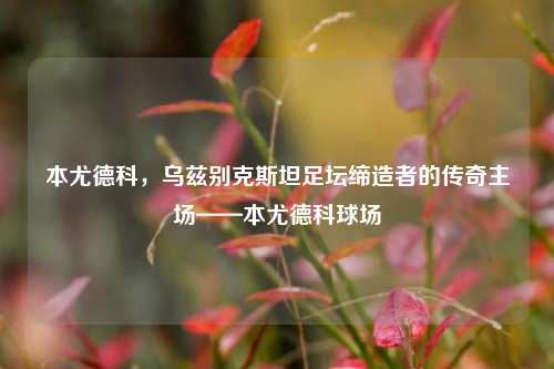 本尤德科,乌兹别克斯坦足坛缔造者的传奇主场——本尤德科球场