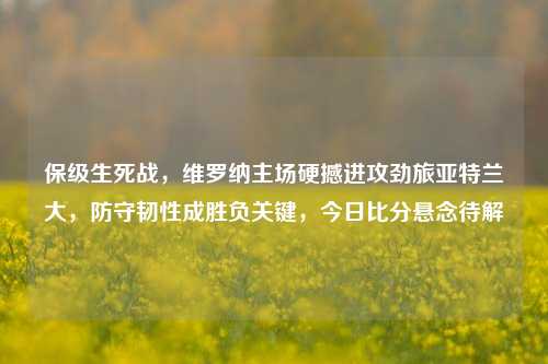 保级生死战，维罗纳主场硬撼进攻劲旅亚特兰大，防守韧性成胜负关键，今日比分悬念待解