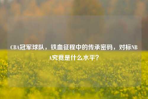 CBA冠军球队，铁血征程中的传承密码，对标NBA究竟是什么水平？