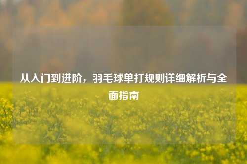 从入门到进阶，羽毛球单打规则详细解析与全面指南