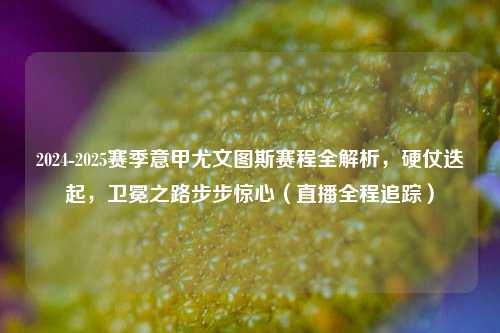 2024-2025赛季意甲尤文图斯赛程全解析，硬仗迭起，卫冕之路步步惊心（直播全程追踪）