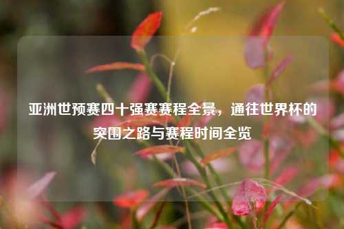 亚洲世预赛四十强赛赛程全景，通往世界杯的突围之路与赛程时间全览