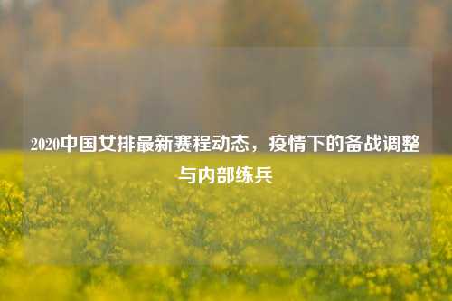 2020中国女排最新赛程动态,疫情下的备战调整与内部练兵