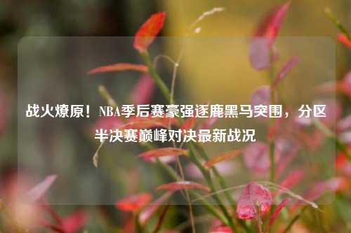战火燎原!NBA季后赛豪强逐鹿黑马突围,分区半决赛巅峰对决最新战况