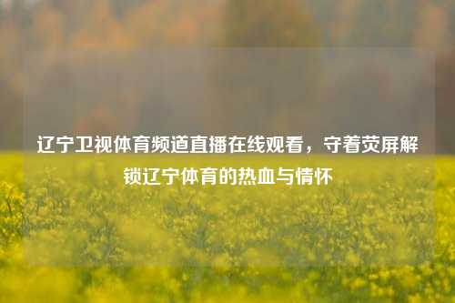 辽宁卫视体育频道直播在线观看,守着荧屏解锁辽宁体育的热血与情怀