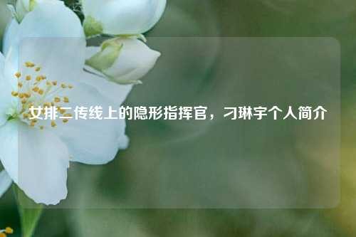 女排二传线上的隐形指挥官,刁琳宇个人简介