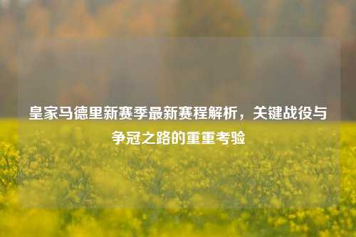 皇家马德里新赛季最新赛程解析,关键战役与争冠之路的重重考验