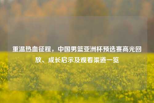 重温热血征程,中国男篮亚洲杯预选赛高光回放、成长启示及观看渠道一览