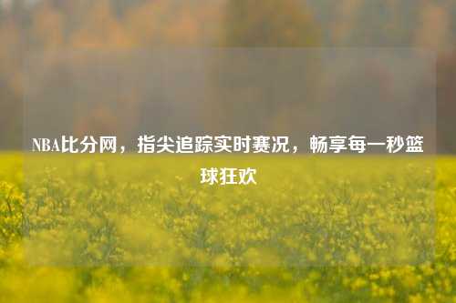 NBA比分网，指尖追踪实时赛况，畅享每一秒篮球狂欢