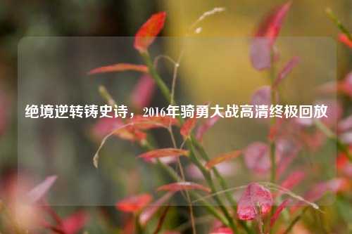 绝境逆转铸史诗,2016年骑勇大战高清终极回放