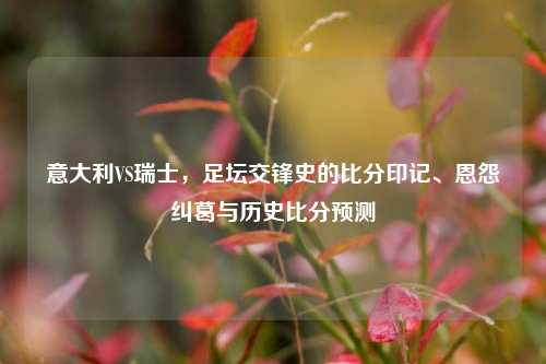 意大利VS瑞士,足坛交锋史的比分印记、恩怨纠葛与历史比分预测