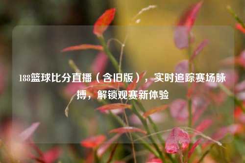 188篮球比分直播(含旧版),实时追踪赛场脉搏,解锁观赛新体验
