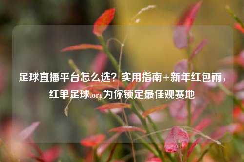 足球直播平台怎么选？实用指南+新年红包雨，红单足球.org为你锁定最佳观赛地