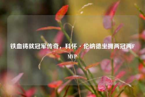 铁血铸就冠军传奇，科怀·伦纳德坐拥两冠两FMVP