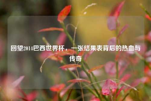 回望2014巴西世界杯,一张结果表背后的热血与传奇