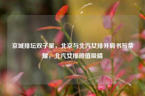 京城排坛双子星,北京与北汽女排并肩书写荣耀,北汽女排颜值吸睛