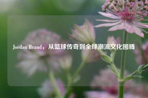 Jordan Brand,从篮球传奇到全球潮流文化图腾