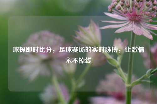 球探即时比分，足球赛场的实时脉搏，让激情永不掉线