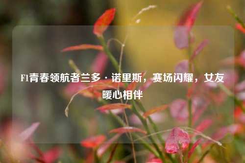 F1青春领航者兰多·诺里斯,赛场闪耀,女友暖心相伴