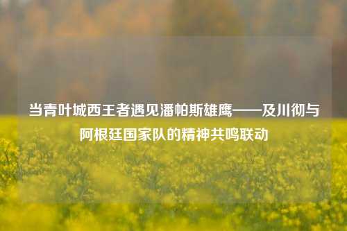 当青叶城西王者遇见潘帕斯雄鹰——及川彻与阿根廷国家队的精神共鸣联动