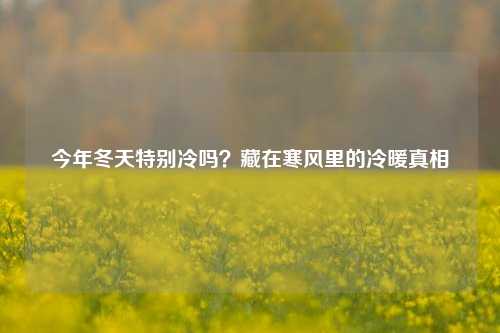 今年冬天特别冷吗?藏在寒风里的冷暖真相