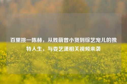 百里挑一陈赫,从贱萌曾小贤到综艺宠儿的独特人生,与娄艺潇相关视频来袭
