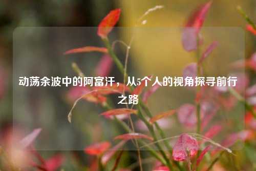 动荡余波中的阿富汗,从5个人的视角探寻前行之路