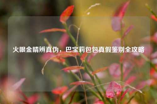 火眼金睛辨真伪,巴宝莉包包真假鉴别全攻略