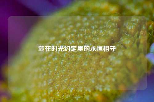 藏在时光约定里的永恒相守