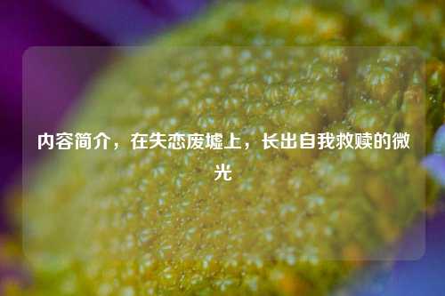 内容简介,在失恋废墟上,长出自我救赎的微光