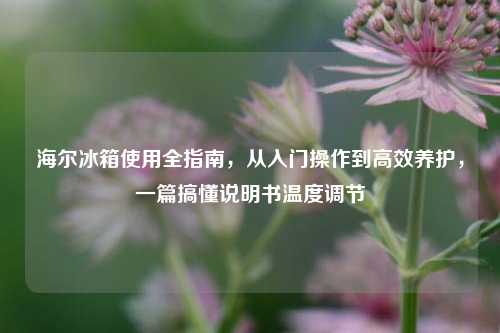 海尔冰箱使用全指南,从入门操作到高效养护,一篇搞懂说明书温度调节
