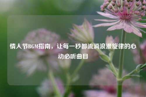 情人节BGM指南,让每一秒都流淌浪漫旋律的心动必听曲目