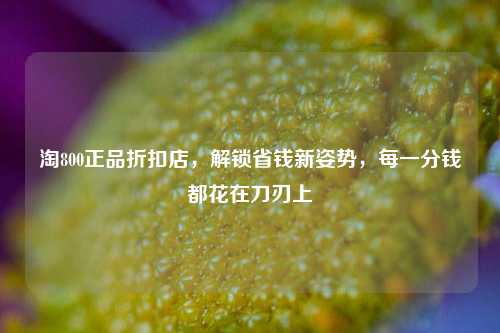 淘800正品折扣店,解锁省钱新姿势,每一分钱都花在刀刃上