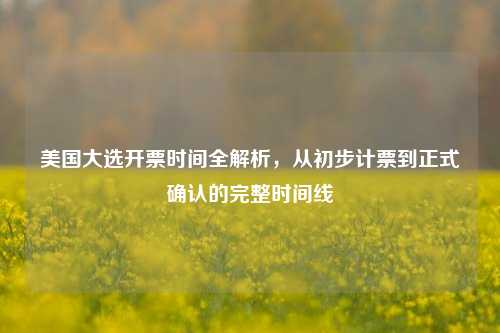 美国大选开票时间全解析,从初步计票到正式确认的完整时间线