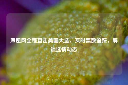 凤凰网全程直击美国大选,实时票数追踪,解锁选情动态